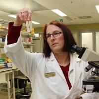 Dr Julie Collins-Emerson staff profile picture